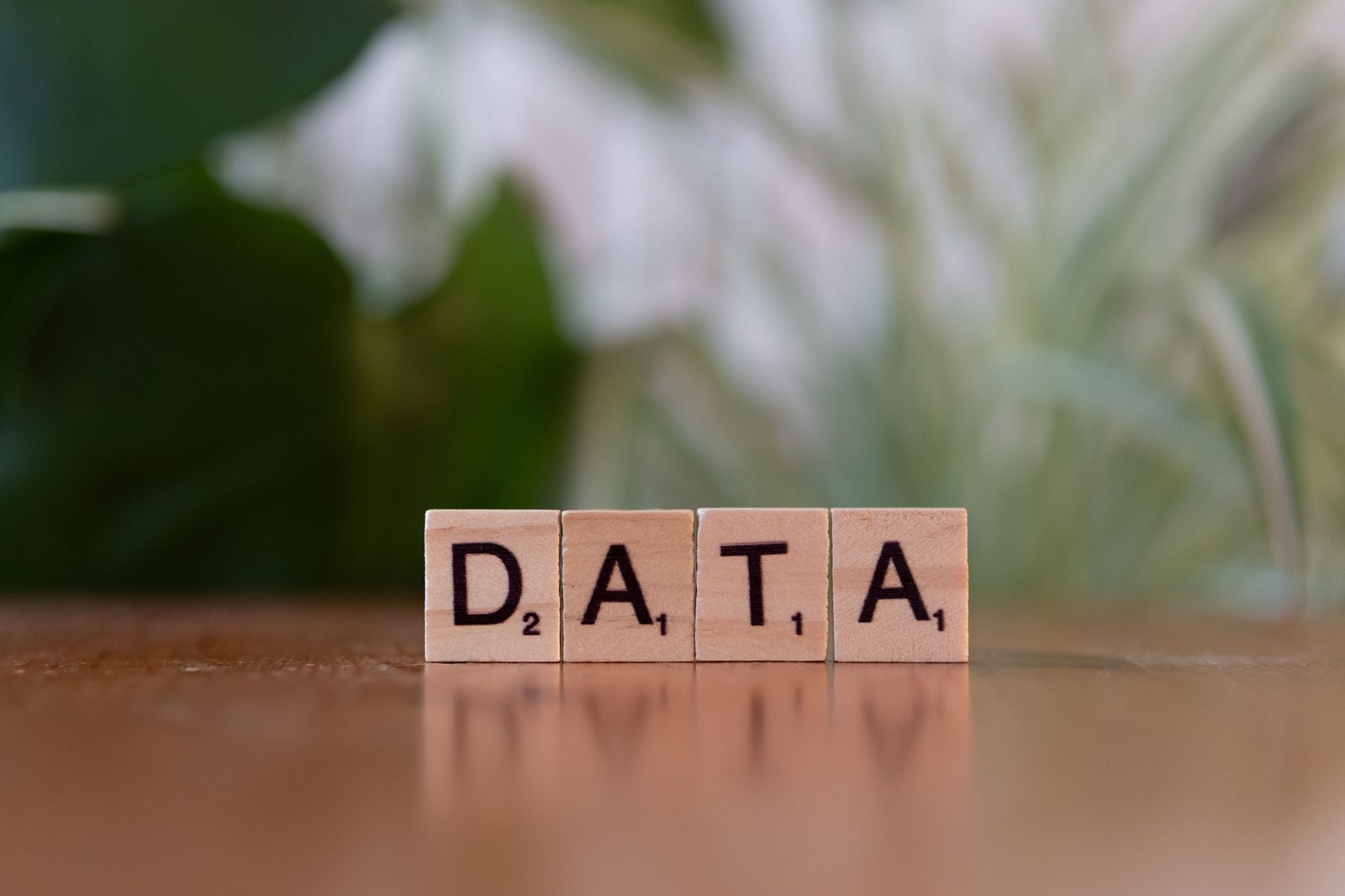 Wooden tiles spelling out DATA